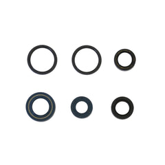 Engine Oil Seals Kit-0
