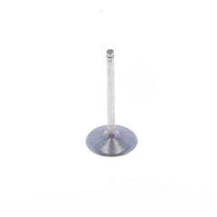 Intake Valve-0