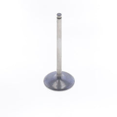 Intake Valve-0