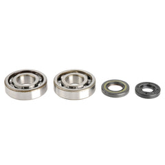 Crankshaft Rebuilding Kit: Bearing and Oil Seal Kit-0