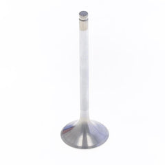 Exhaust Valve-1
