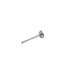 Intake Valve-1