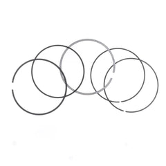 Ring Set Ø 105,5 mm for Athena Piston-1