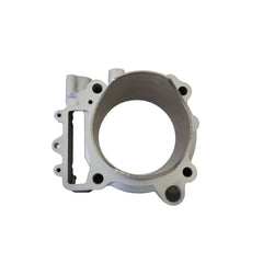 Big Bore Cylinder Kit Ø 100 mm, 490 cc-2