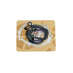 Complete Gasket Kit (oil seals not included)-1