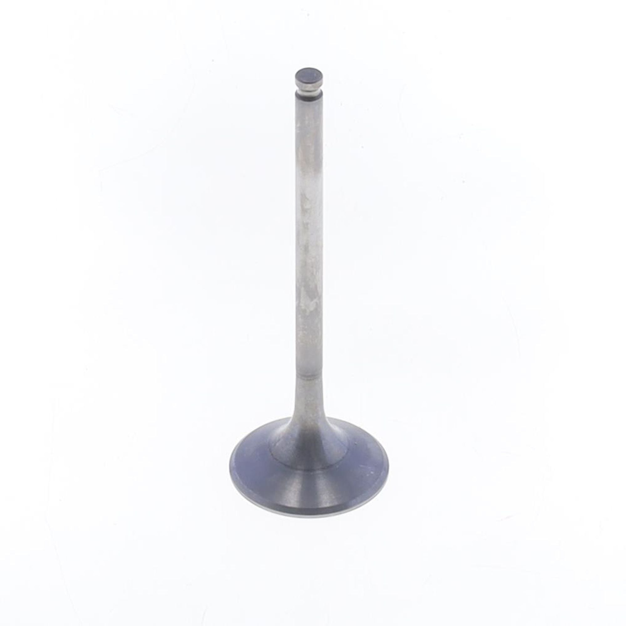 Exhaust Valve-0