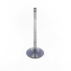 Exhaust Valve-0
