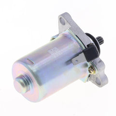 Starter Motor-1