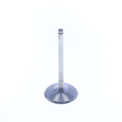 Intake Valve-0