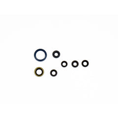 Engine Oil Seals Kit-0