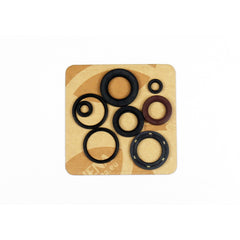 Engine Oil Seals Kit-1
