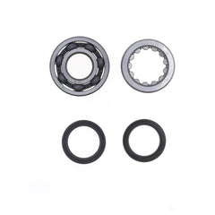 Crankshaft Rebuilding Kit: Bearing and Oil Seal Kit-1