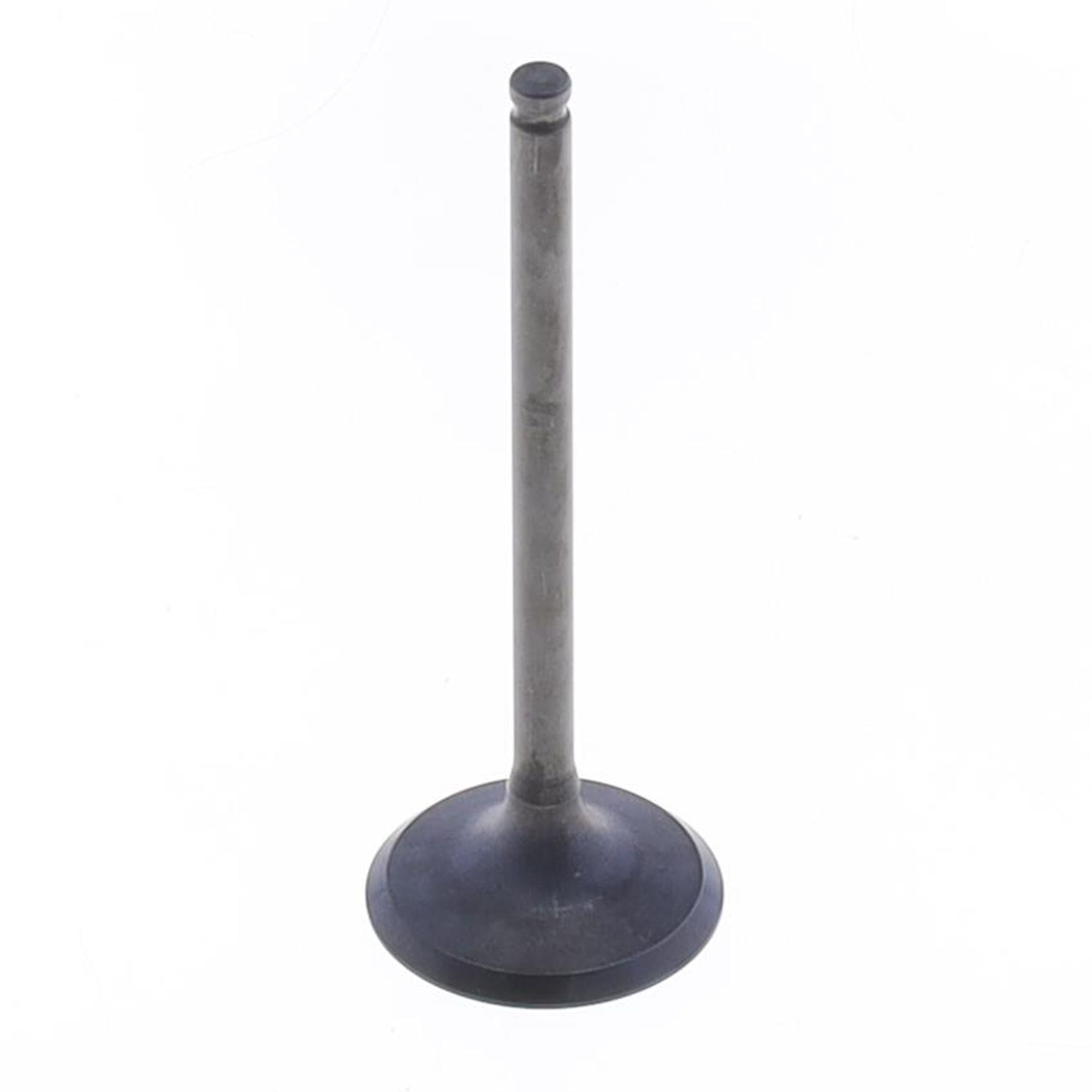 Exhaust Valve-0