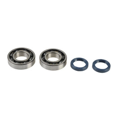 Crankshaft Rebuilding Kit: Bearing and Oil Seal Kit-0