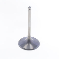 Intake Valve-0