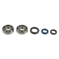 Crankshaft Rebuilding Kit: Bearing and Oil Seal Kit-0