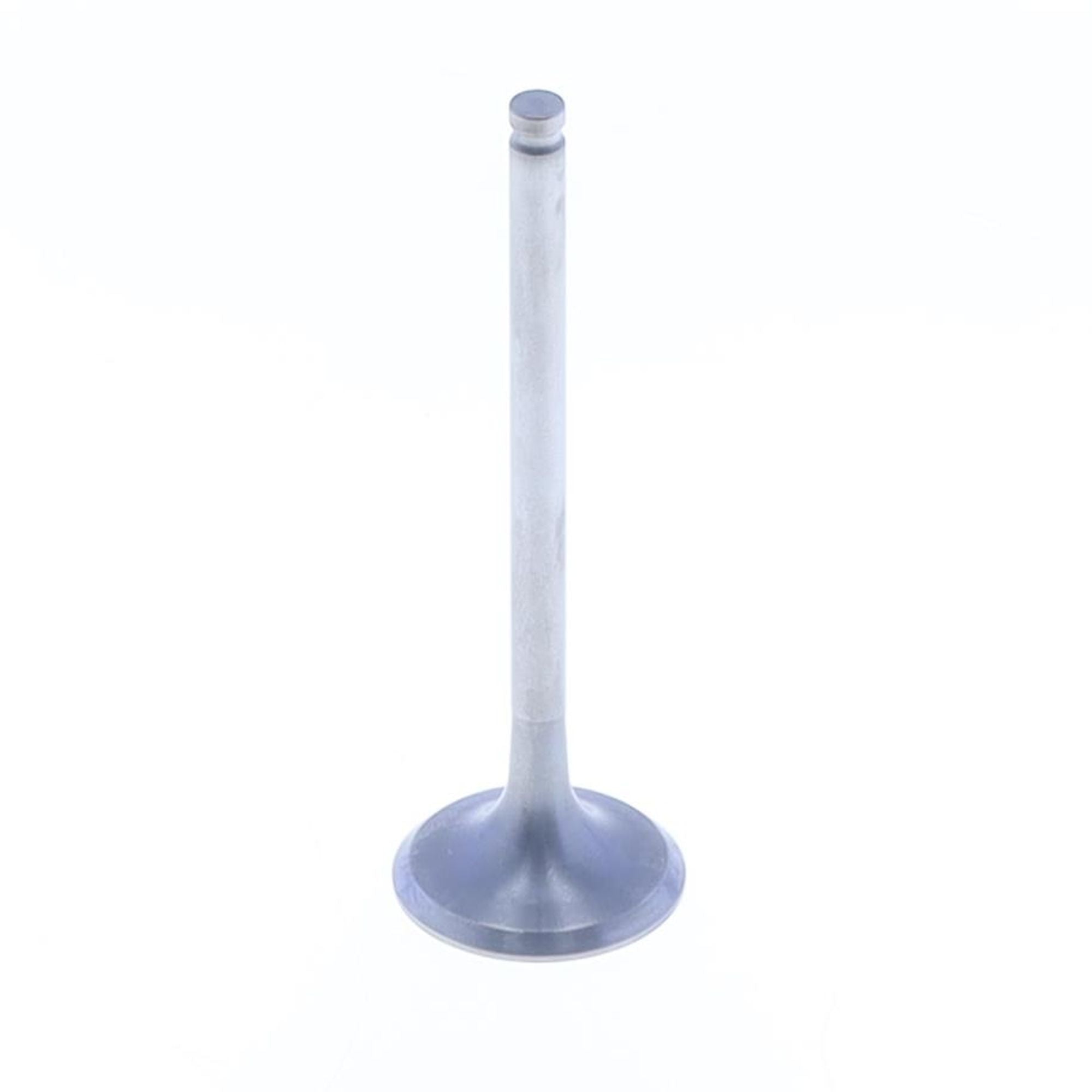 Exhaust Valve-0