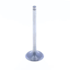 Exhaust Valve-0