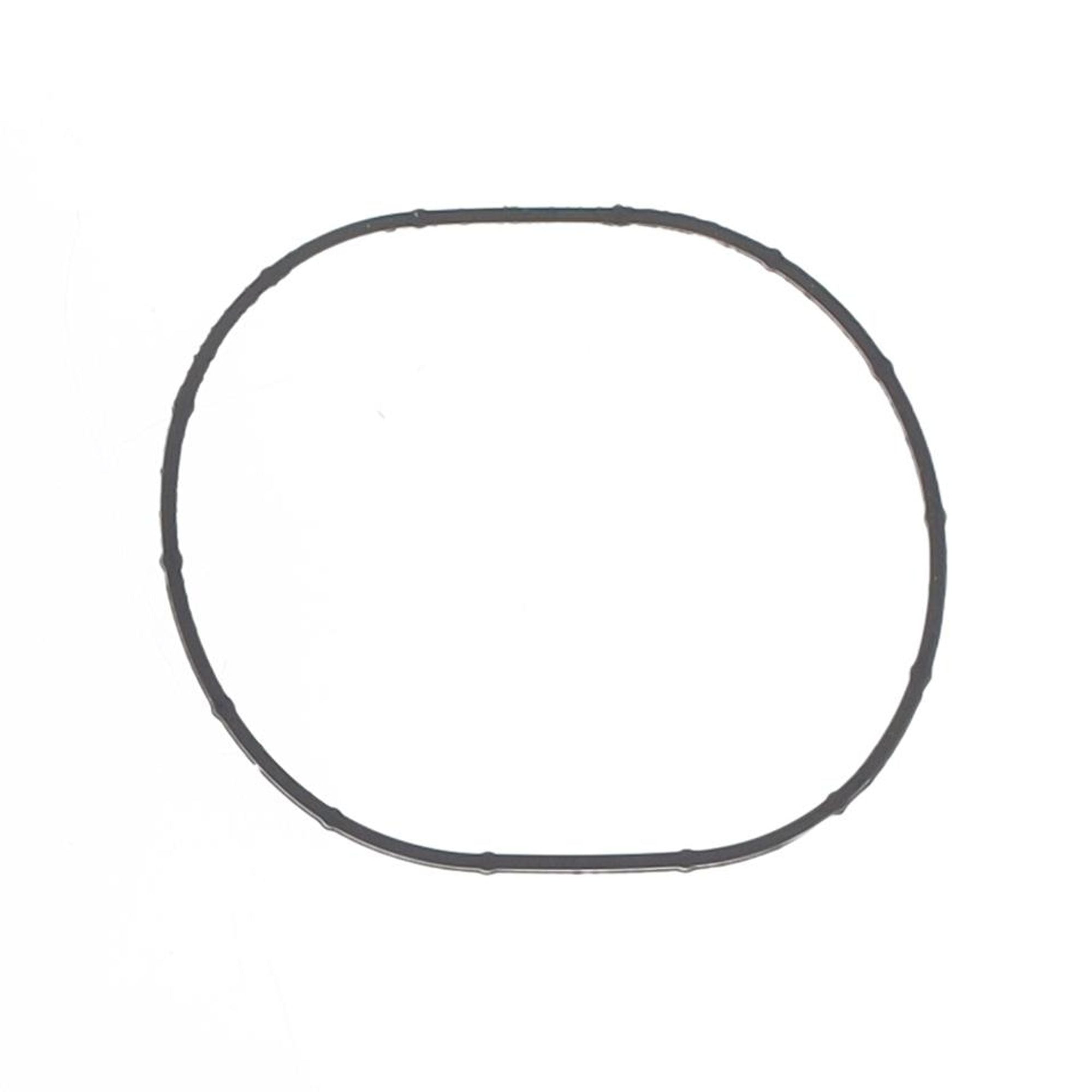 Intake Gasket-0