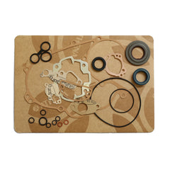 Complete Gasket Kit (oil seals included)-1