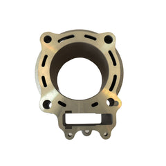 Standard Bore Cylinder Kit Ø 76,8 mm, 250 cc-1