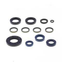 Engine Oil Seals Kit-1