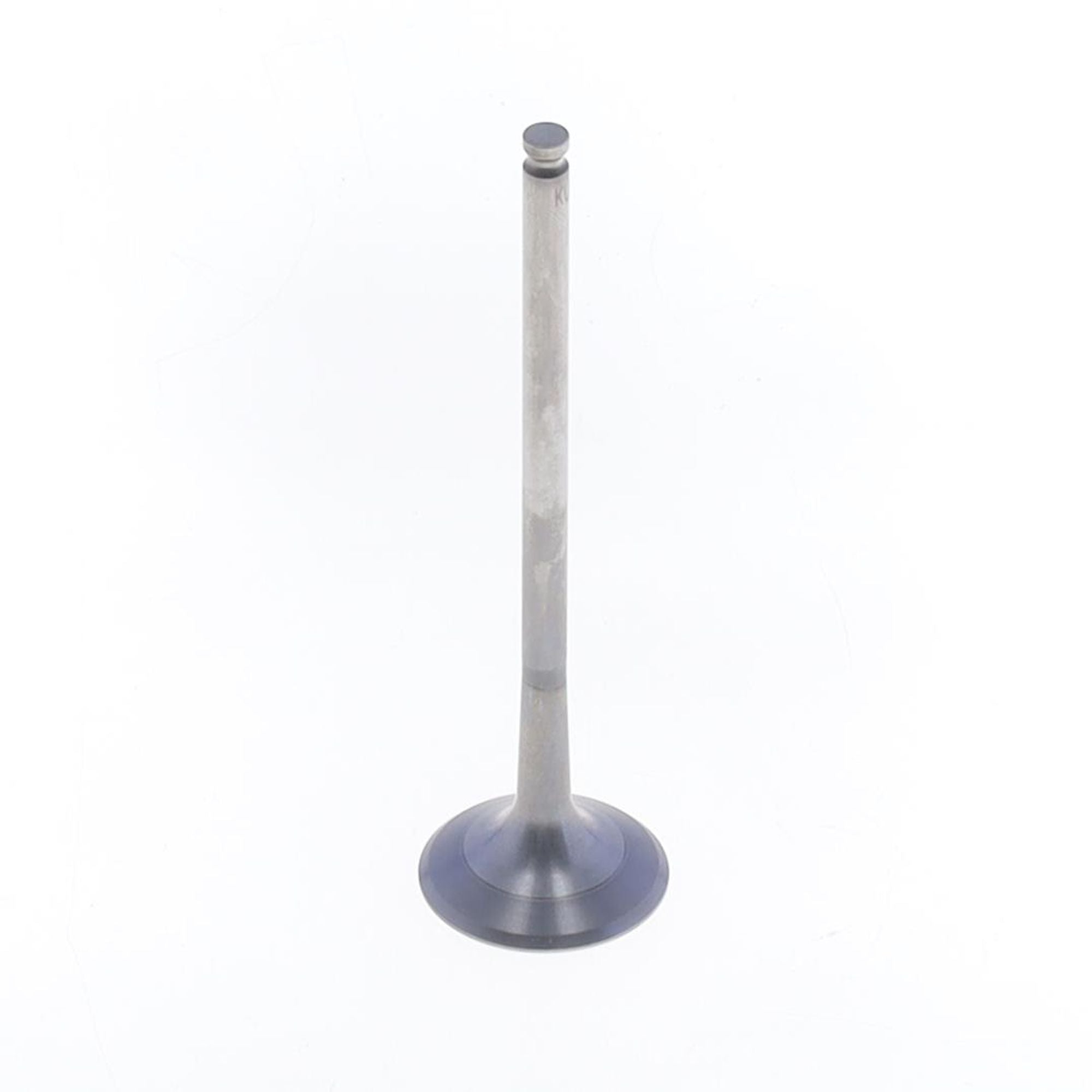 Exhaust Valve-0
