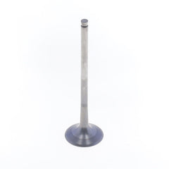 Exhaust Valve-0