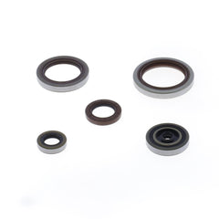 Engine Oil Seals Kit-1