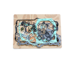 Complete Gasket Kit (oil seals not included)-1