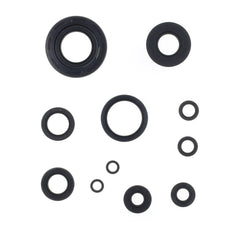 Engine Oil Seals Kit-0