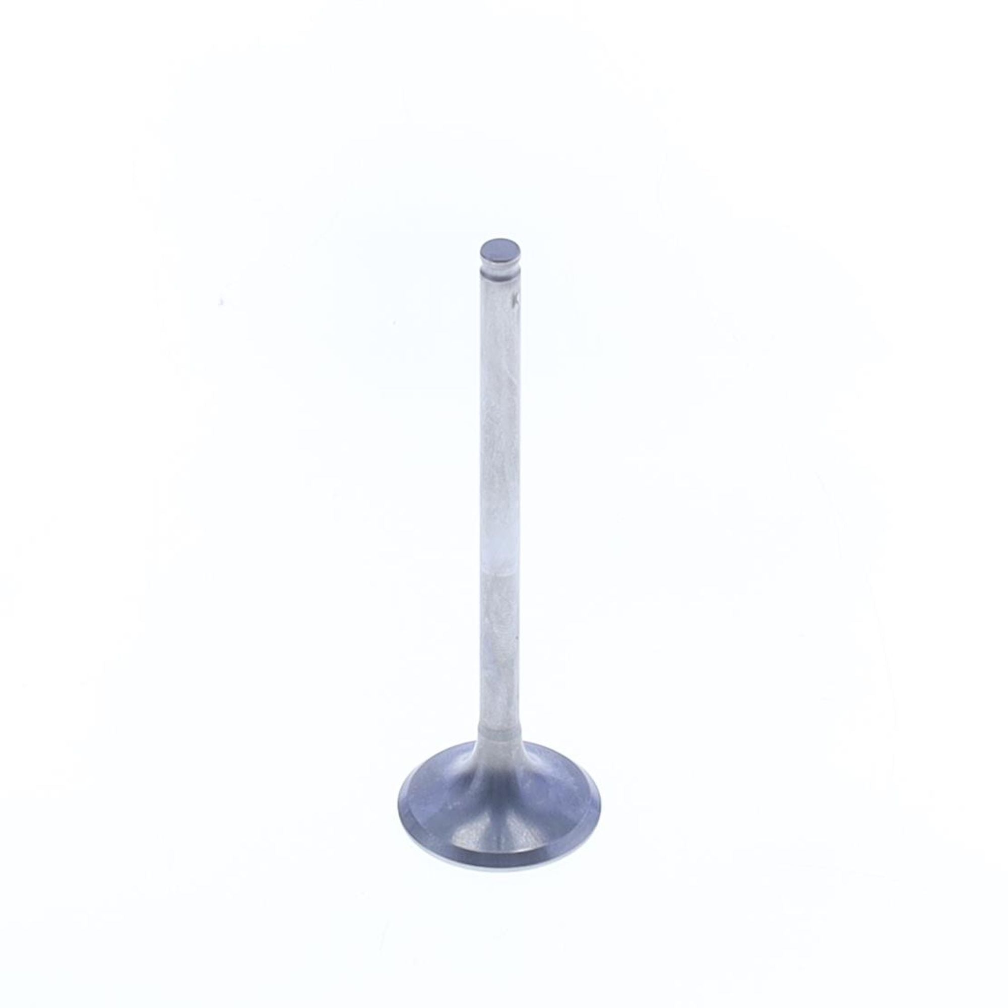 Exhaust Valve-0