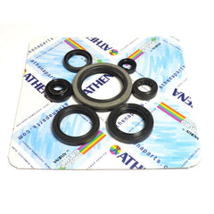 Engine Oil Seals Kit-1