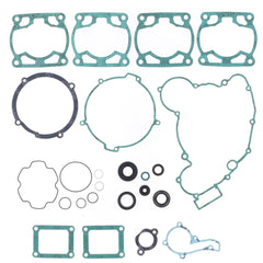Complete Gasket Kit (oil seals included)-0