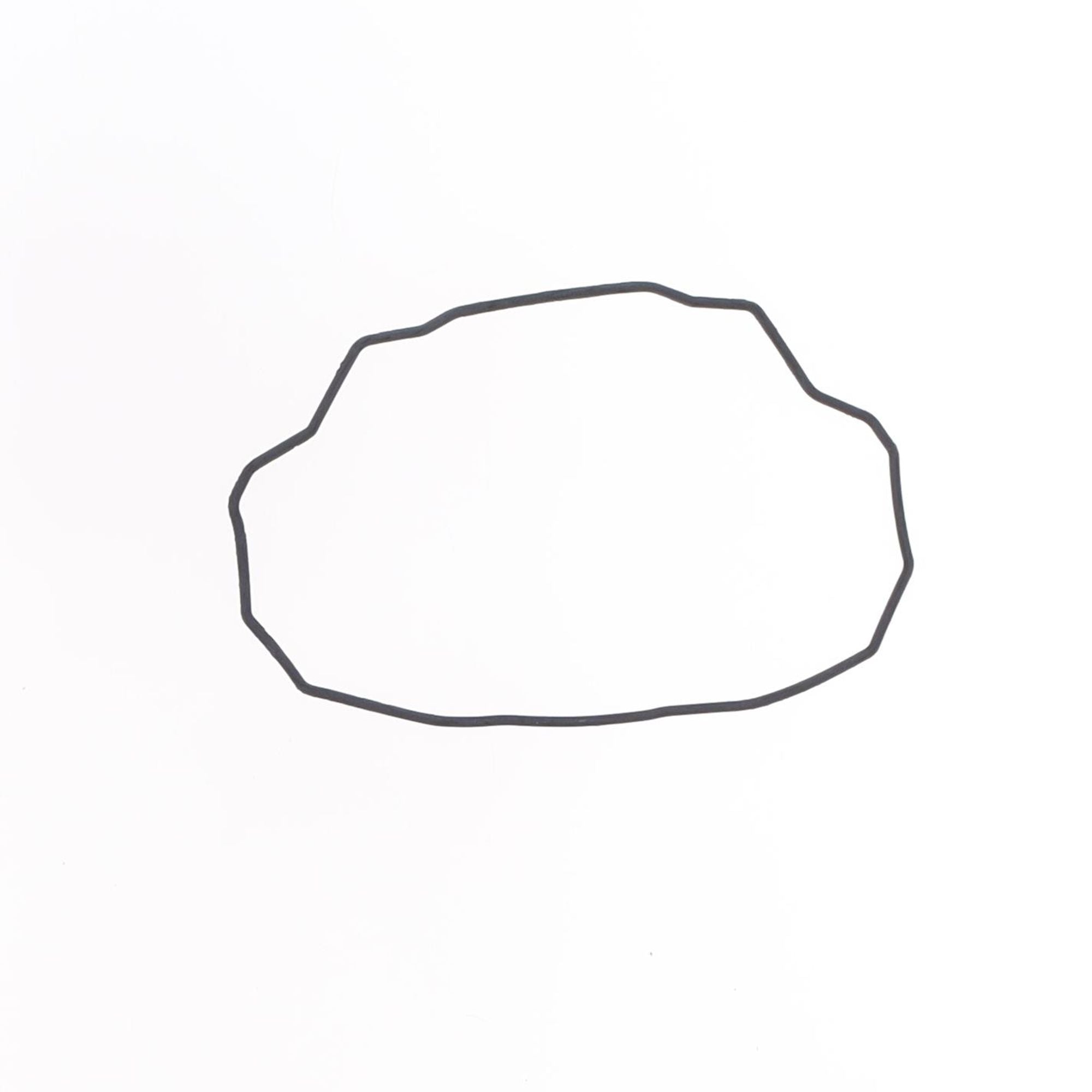 Exhaust Valve Cover Gasket-0
