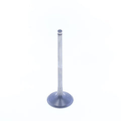 Exhaust Valve-0
