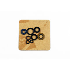 Engine Oil Seals Kit-1