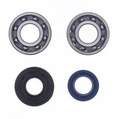 Crankshaft Rebuilding Kit: Bearing and Oil Seal Kit-1