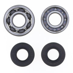 Crankshaft Rebuilding Kit: Bearing and Oil Seal Kit-1