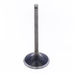 Exhaust Valve-1