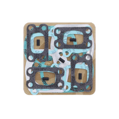Complete Gasket Kit (oil seals not included)-1