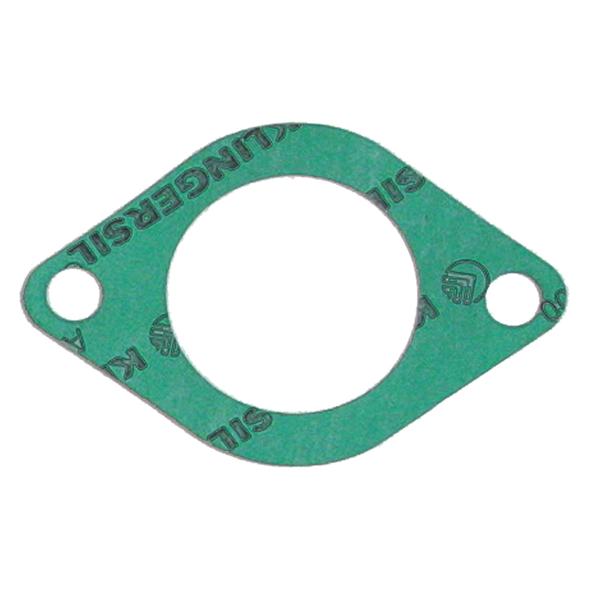 Intake Gasket-0