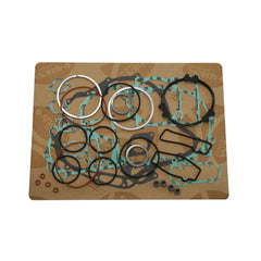 Complete Gasket Kit (oil seals not included)-1