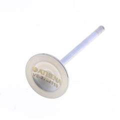 Exhaust Valve-0