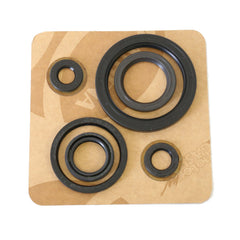 Engine Oil Seals Kit-1