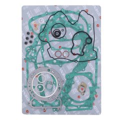 Complete Gasket Kit (oil seals not included)-1