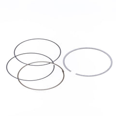Ring Set Ø 76 mm for Athena Piston-0