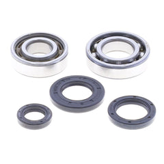 Crankshaft Rebuilding Kit: Bearing and Oil Seal Kit-1