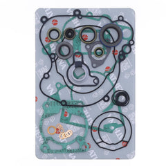Complete Gasket Kit (oil seals included)-1