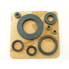 Engine Oil Seals Kit-1
